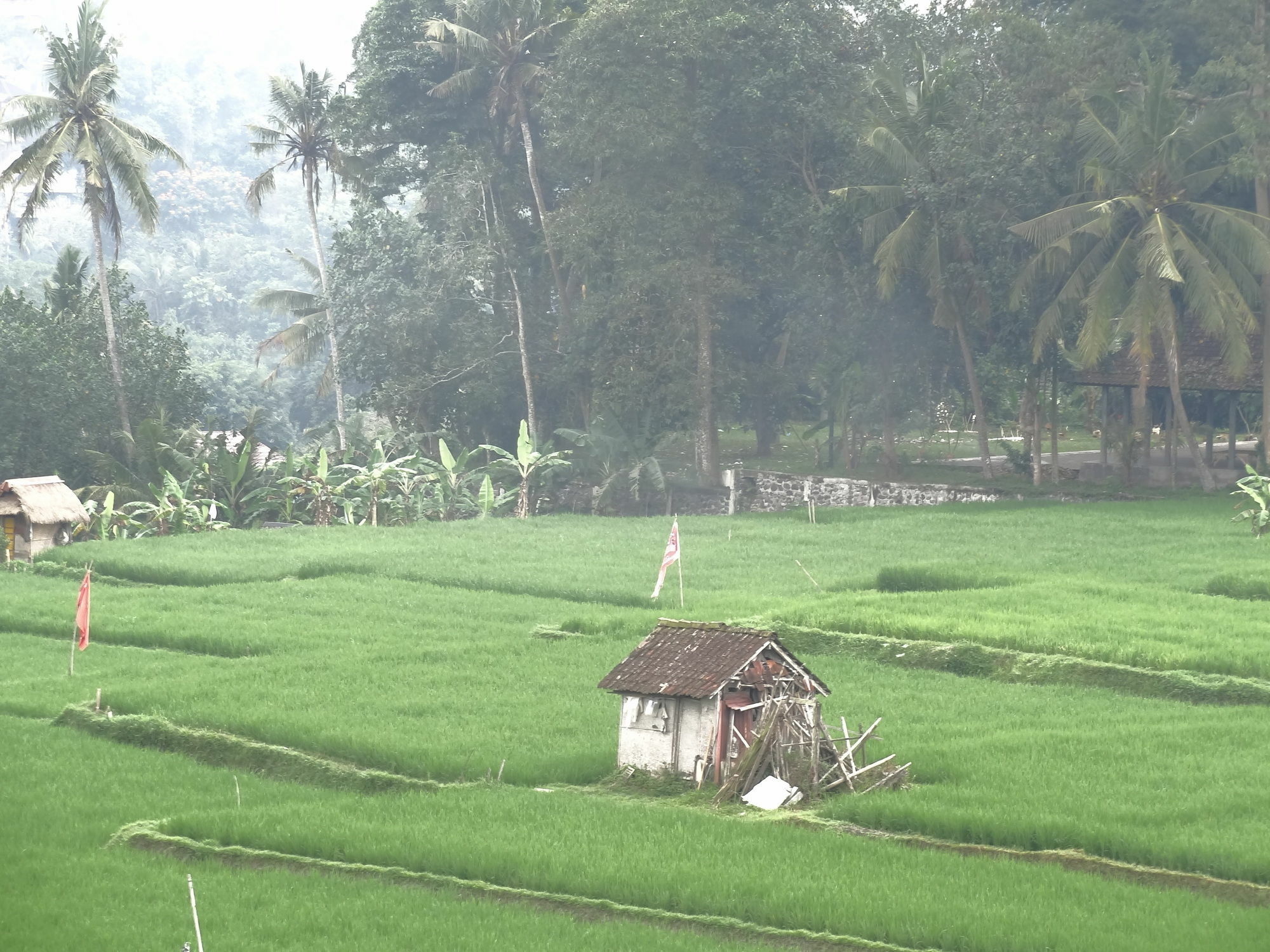 Hibiscus Cottages Ubud  Exterior photo